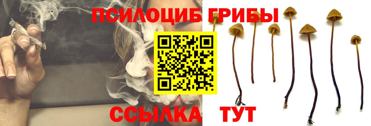 Пыть-Ях  даркнет сайт  Вход с VPN  Галлюциногенные грибы Psilocybine cubensis 